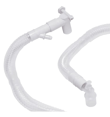 Circuito tipo Bain, adulto