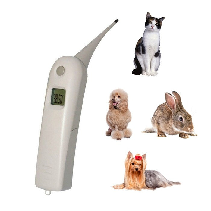 Termómetro digital Uso Veterinario